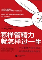 怎样管精力 就怎样过一生 封面