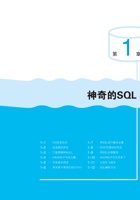 SQL进阶教程 封面