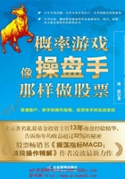 概率游戏：像操盘手那样做股票 封面