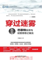 穿过迷雾 封面
