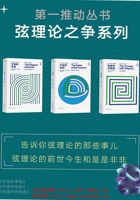 第一推动丛书·弦理论之争系列 封面