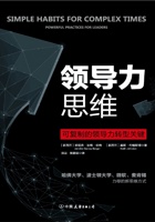 领导力思维 封面
